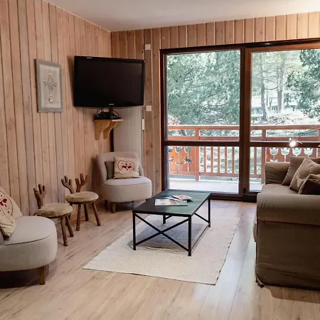 Au Pied Des Pistes, 3 Pieces, Animaux Admis - Fr-1-516-20 *