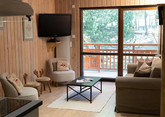 Au Pied Des Pistes, 3 Pieces, Animaux Admis - Fr-1-516-20 * Les Deux Alpes