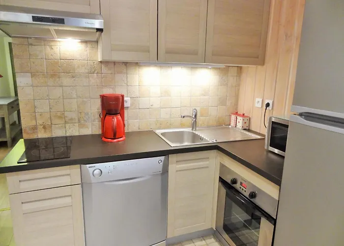 Au Pied Des Pistes, 3 Pieces, Animaux Admis - Fr-1-516-20 Apartament