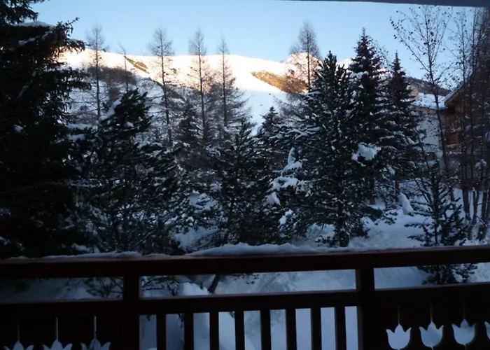 Au Pied Des Pistes, 3 Pieces, Animaux Admis - Fr-1-516-20 *