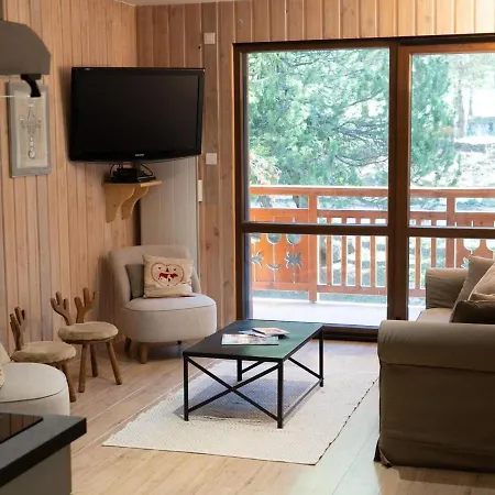 Au Pied Des Pistes, 3 Pieces, Animaux Admis - Fr-1-516-20 * Les Deux Alpes