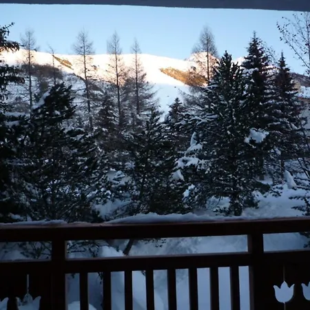 Au Pied Des Pistes, 3 Pieces, Animaux Admis - Fr-1-516-20 *