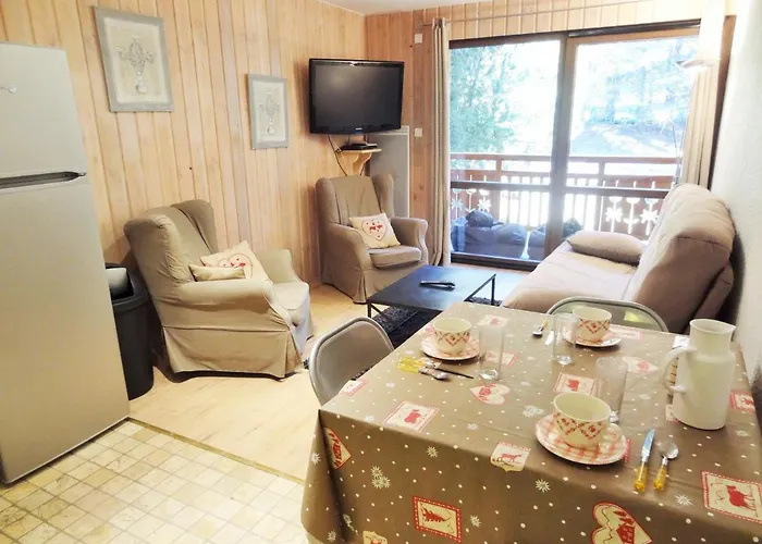 Au Pied Des Pistes, 3 Pieces, Animaux Admis - Fr-1-516-20 Les Deux Alpes