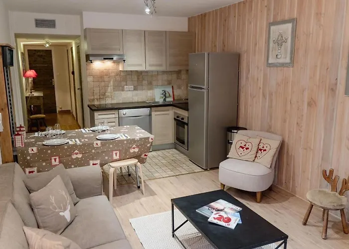 Au Pied Des Pistes, 3 Pieces, Animaux Admis - Fr-1-516-20 Apartment *