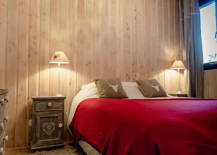 Au Pied Des Pistes, 3 Pieces, Animaux Admis - Fr-1-516-20 * Les Deux Alpes